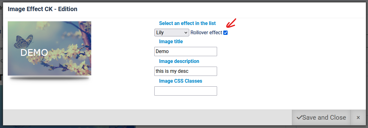 rollover effect option